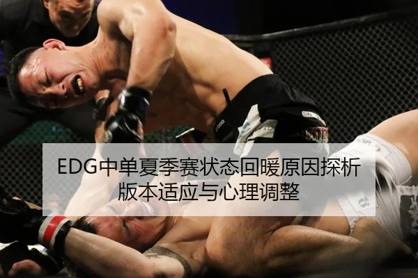 EDG中单夏季赛状态回暖原因探析 版本适应与心理调整