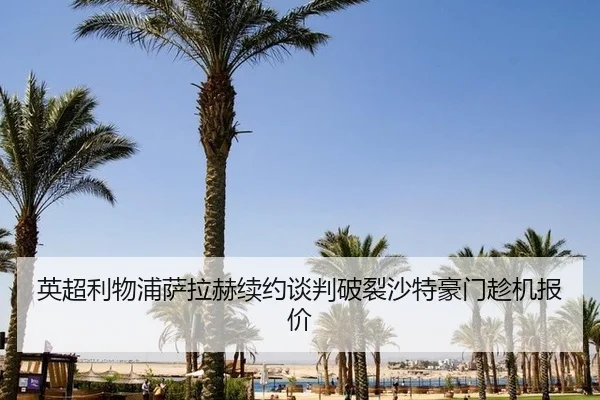 ying-chao-li-wu-pu-sa-la-he-xu-yue-tan-pan-po-lie-sha-te-hao-men-chen-ji-bao-jia-3-255.jpg